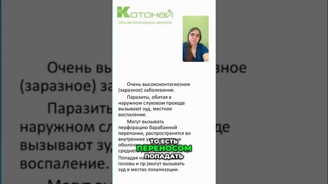 Дерматолог рассказывает о проблеме с ушными клещами у кошек