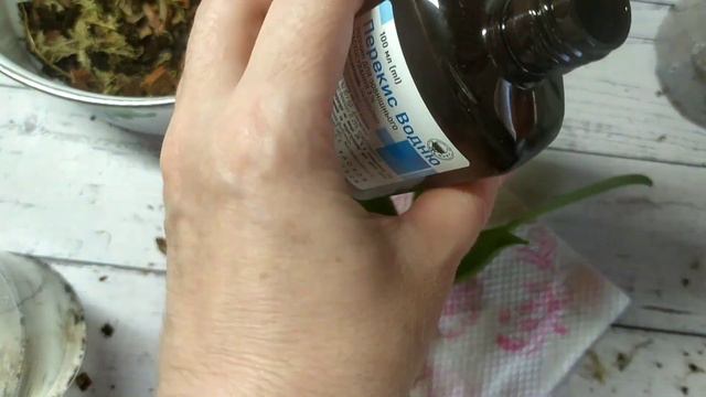 🌸 Пересадка подростка орхидеи 1,7 из торфяного стаканчика в кору 🌸 Орхидея мультифлора Profumata