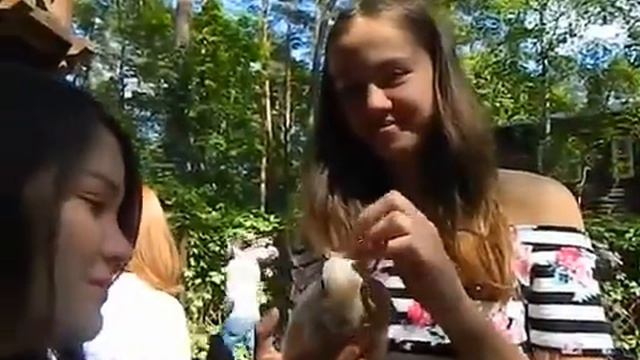 детская фотосессия фотограф 1  Москва, 8(916)702-11-08 смотреть онлайн