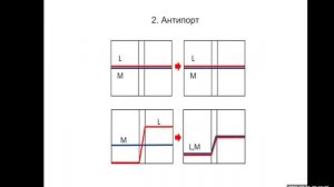 Лекция 7. Ферменты. Часть 3.