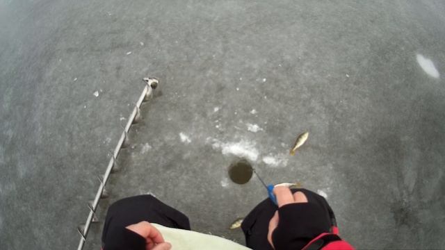 Учимся ловить на блесну со льда смотреть онлайн