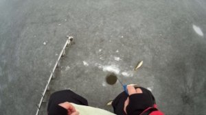 Учимся ловить на блесну со льда