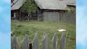 п.Игмас.Вологодская обл.