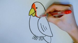 Рисование для детей - как нарисовать попугая. How to Draw a Parrot