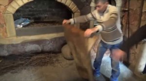 Путешествие по Армении.