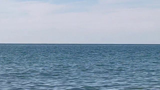 Лазаревское/Рыбный день на пляже Фламинго/ дельфины у берега!!!
