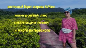 Восточный берег острова Ко Чанг. Мангровый лес, плантации гевеи и другие локации.