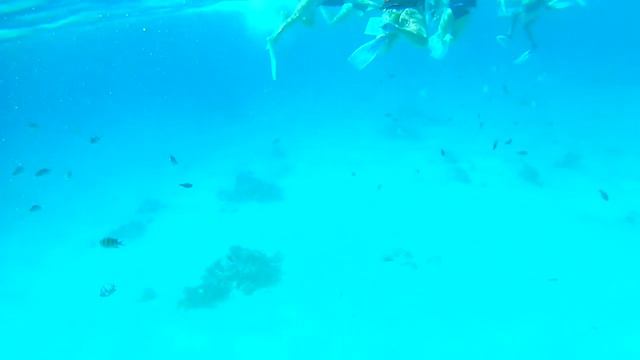 Passeio até à Paradise Island / Giftun Island - Egito © Viaje Comigo смотреть онлайн