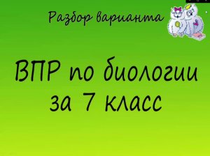 Биология. Разбор варианта ВПР по биологии 7 класс. Вариант 2