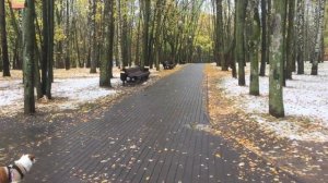 ВЛОГ|ПРОЩАЙ ОСЕНЬ|НОВЫЙ МАНИКЮР|МОЯ КОСМЕТИЧКА ❤️ ARIALIFEBLOG