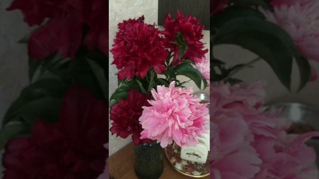 Стослоговая мантра Ваджрасатвы - моя любимая мантра смотреть онлайн