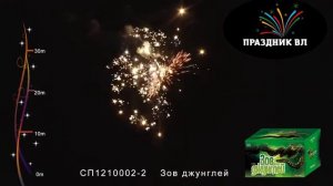 Салют Зов Джунглей, 100 залпов