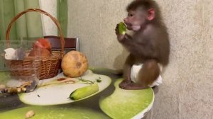 Люська ИСКУПАЛАСЬ и стала похожа на Анжелу Девис! Люська жалуется что ее НЕ КОРМЯТ!
