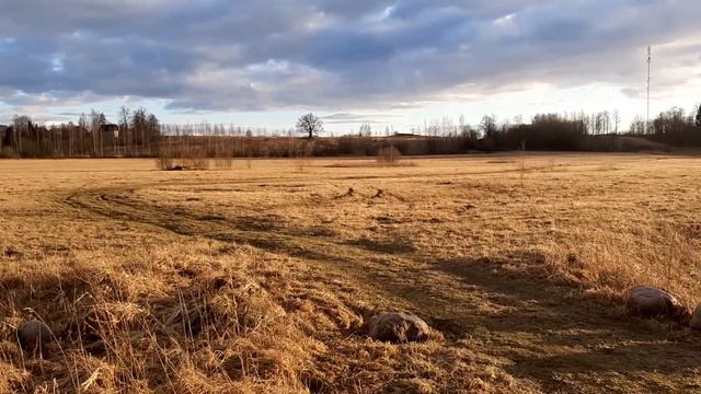 Невероятный свет в полях. смотреть онлайн