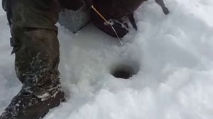 Рыбалка на Зубёнках.
