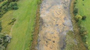 Почему Эрзян и Мокшан стали называть «Мордвой»?