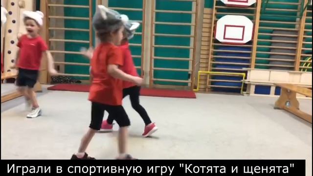 Флешмоб "Всемирный день домашних животных" ДО смотреть онлайн