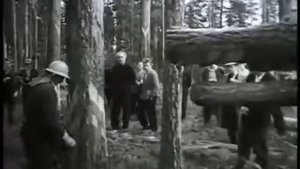 Т-48А. Валочно-трелёвочная машина. 1961 год.