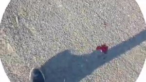 Как сломать ключицу в походе