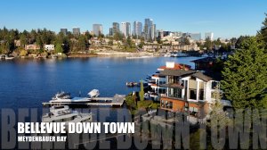 Majestic Aerial Tour: Meydenbauer Bay and Whalers Cove Views