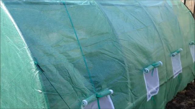 Ab ins Getümmel смотреть онлайн