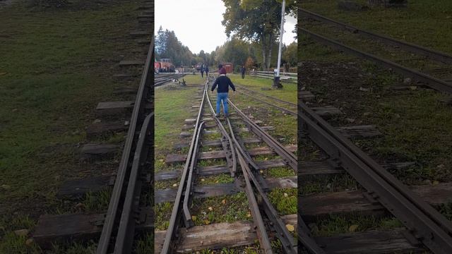Эстонские Узкоколейные Железные дороги смотреть онлайн