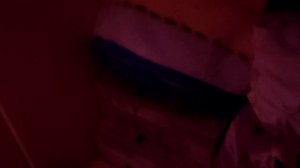 Басики попали в project playtime