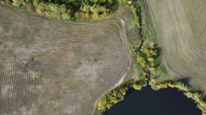 Еще один полёт на дроне над озером Кирчим. Тюмень. DJI Mini 2. 4К.