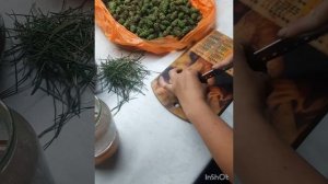 Сироп от кашля из Сосновых шишек ?Идеально для детей?
