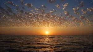 Дары Терека 24,04,20