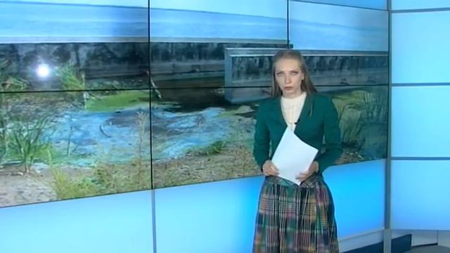 Экологи выясняют причины возникновения светло голубого болота на набережной смотреть онлайн