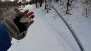 Ловим на живца в январе. Огромный голавль на карася. Северский Донец раздает