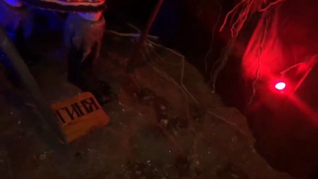 Александра и Весёлая компания попали в «Музей Рождение Сказки» смотреть онлайн