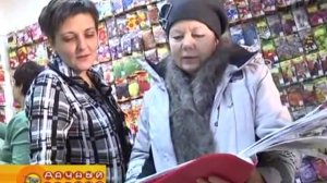 Новые сорта лука севка
