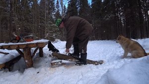 Пила походная. Какую лучше взять?