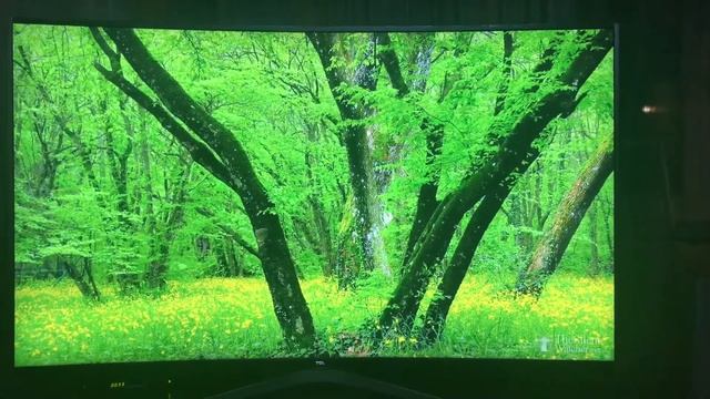 TCL L65C1CUS Smart, 4K, LED смотреть онлайн