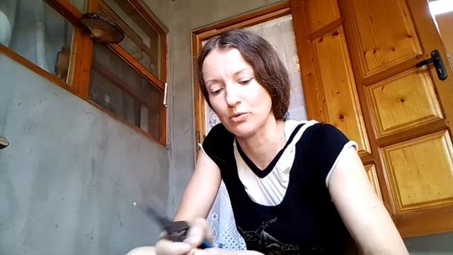 Как хранить лук репчатый зимой