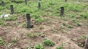 Заливаю сваи под дом 6x6