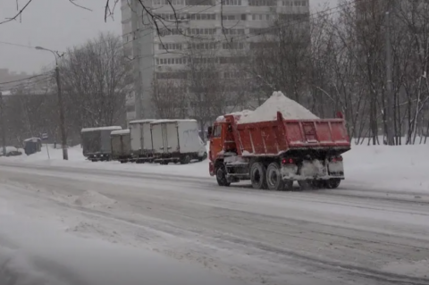Хитрые москвичи придумали, как заработать на последствиях рекордного снегопада