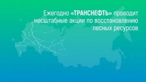 Программа восстановления лесных ресурсов