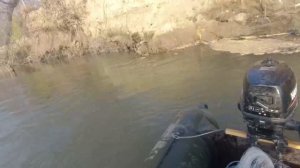 Осенью с кастинговой сетью по Оби