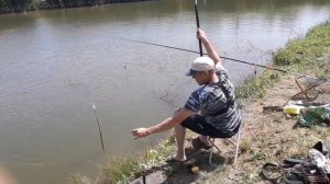 Тест Махового Удилища (COMPETITOR) Ловля карася маховым удилищем.