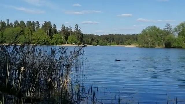 Новая самодельная прикормка четко собирает рыбу на точке ловли смотреть онлайн