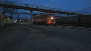 На станции Великие Луки. ТЭМ2УМ-805 с вагонзаком, прицепка тепловоза ТЭП70-0124