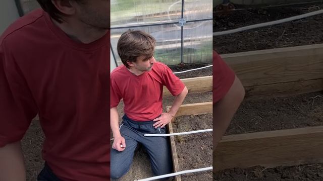 Теплица ? капельный полив своими руками Часть 1 смотреть онлайн