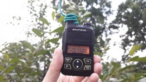 Сатком прием часть2