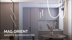 Магнитная система MAG ORIENT