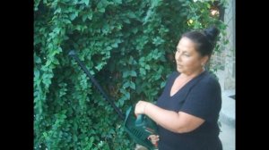 Обзор кустореза Bosch AHS 45-16