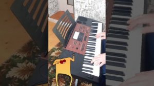 «What Is Love» на синтезаторе CASIO CTK-6250.... любительская