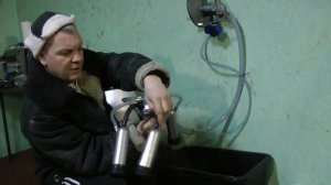 Как доить корову доильным аппаратом